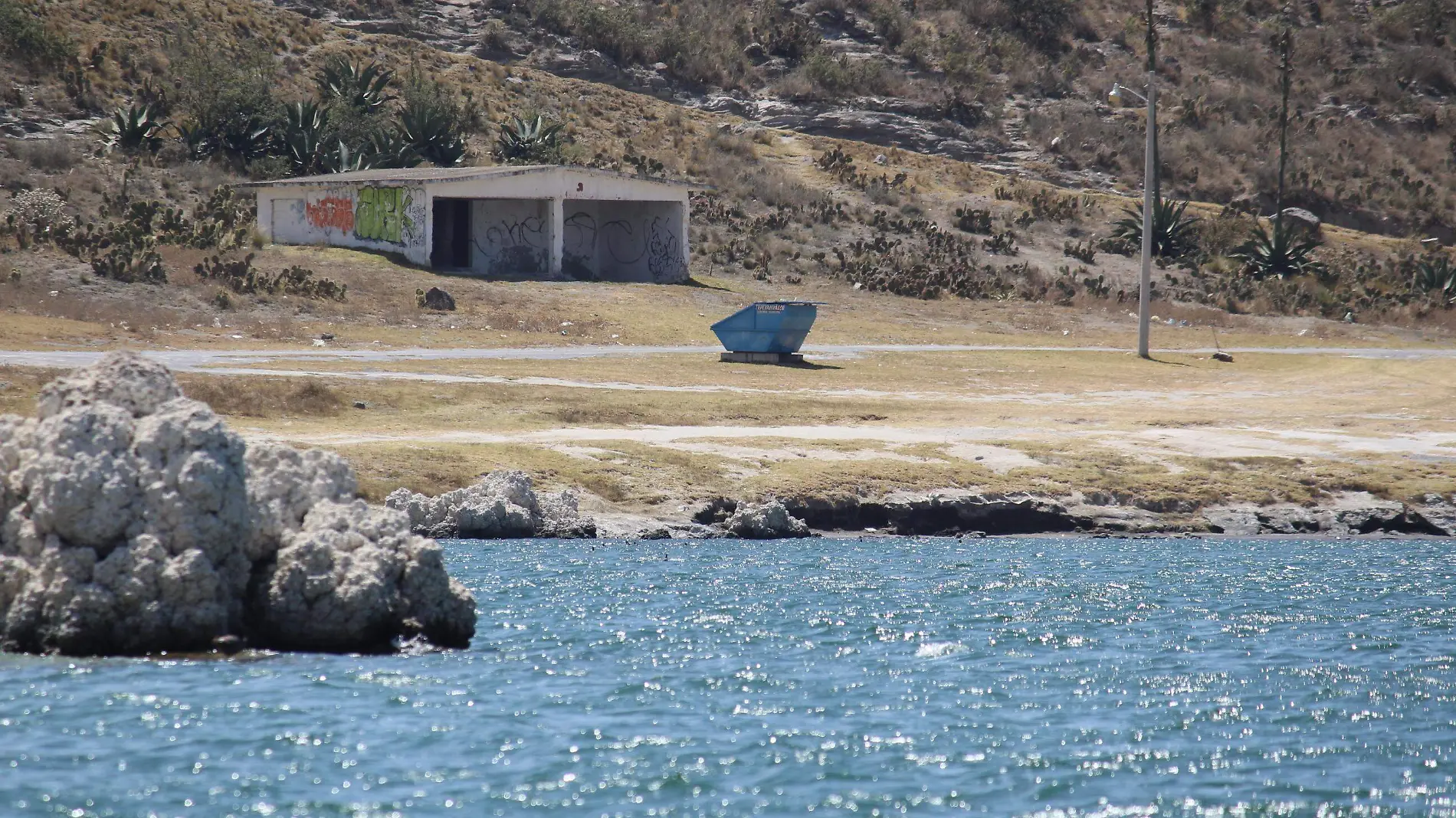 Ajolote y Laguna de Alchichica enfrentan grave peligro de extinción